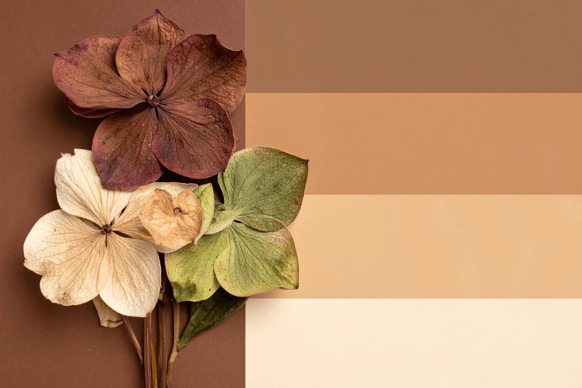 criando-harmonia-cromatica-com-paletas-complementares