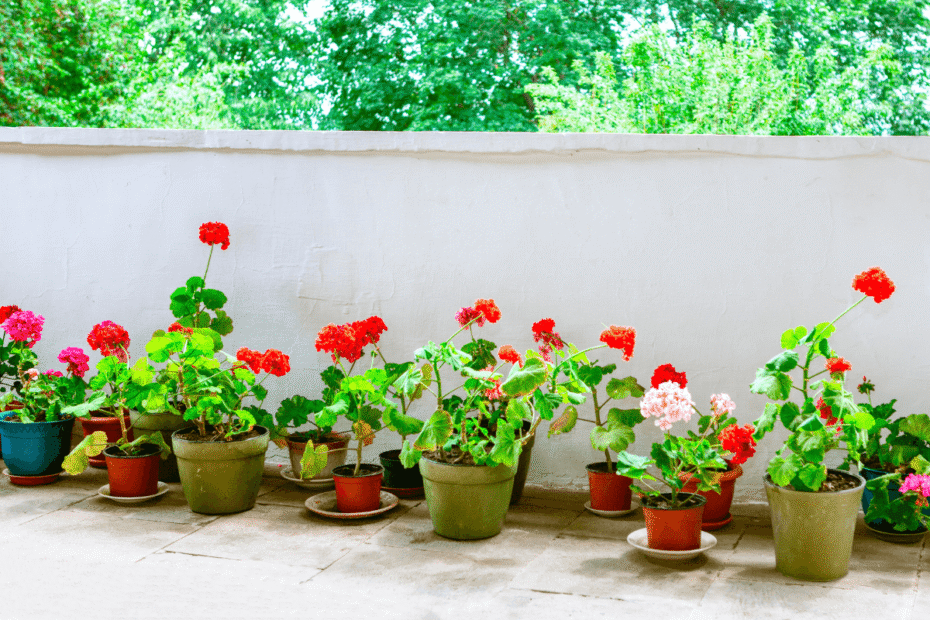 como-decorar-varanda-pequena-de-apartamento-com-vasos-de-chao